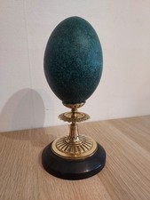 Œuf d’émeu véritable sur