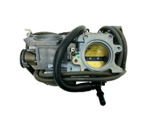 Corps De Papillon Complet