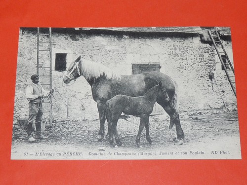 Cpa carte postale 1910 - 1910, france
