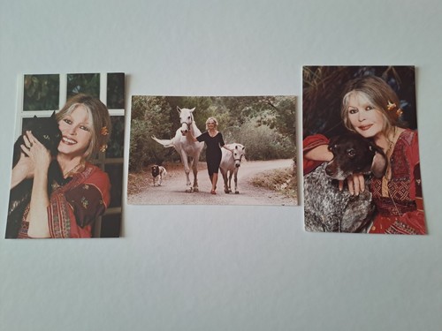 Lot cartes postales de la - lot,
