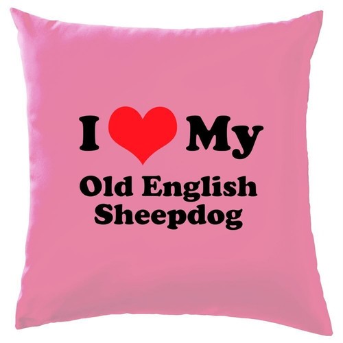 Love mon anglais - i,