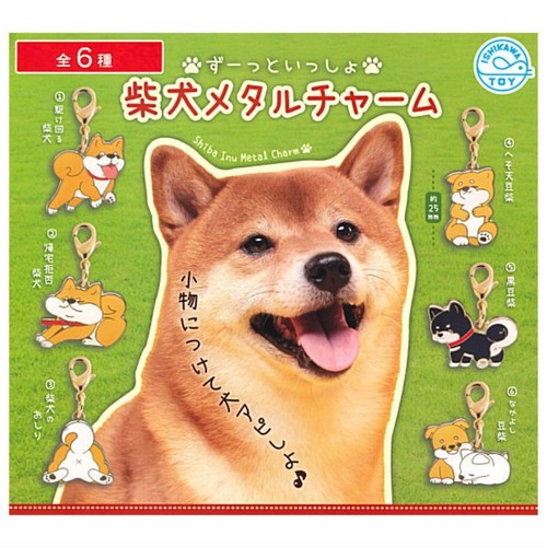 Tto issho shiba inu metal - issho,