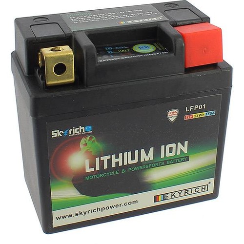 Batterie lithium lfp01 skyrich - batterie,