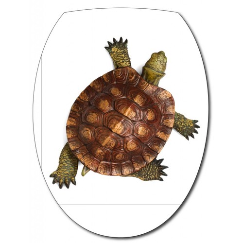 Sticker abattant tortue - sticker,
