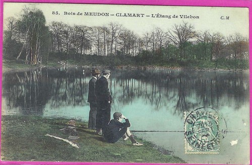 Bois de meudon - ,