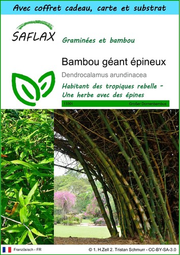 Saflax kit cadeau bambou - saflax,