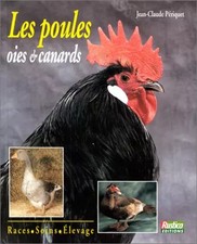 Les poules, oies, canards