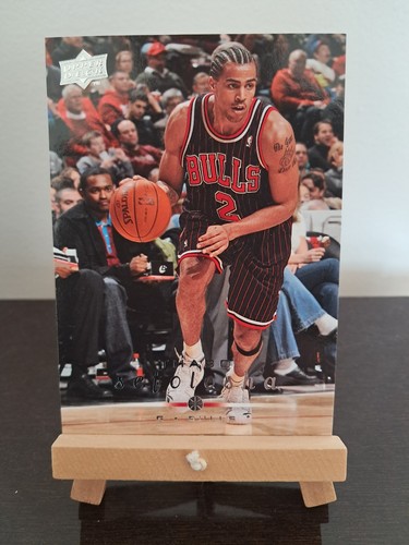 Thabo sefolosha bulls upper - sefolosha,