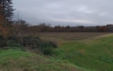 Terrain agricole à vendre dans le Tarn à Ambres, 3,5 hectares + bord de rivière