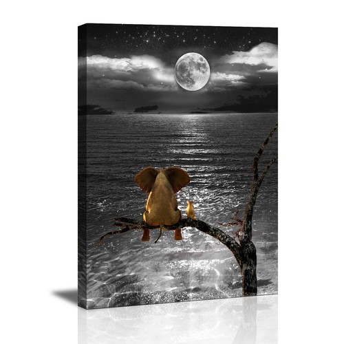 Images sur toile 60 cm - sur, x