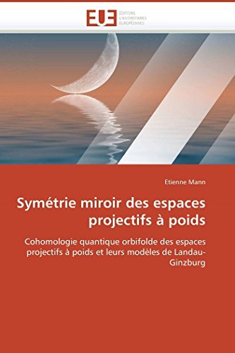 Symetrie miroir des espaces
