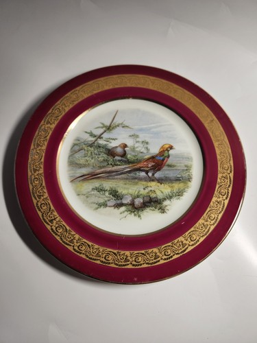 Paul pastaud assiette - paul,