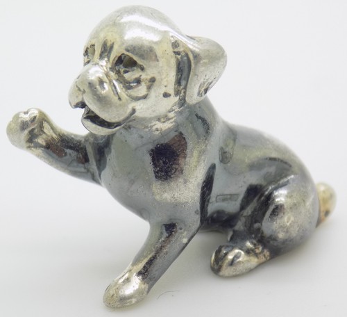 Chien chiot argent - chien,