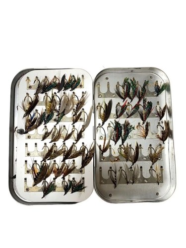 Richard wheatley england fly - richard,