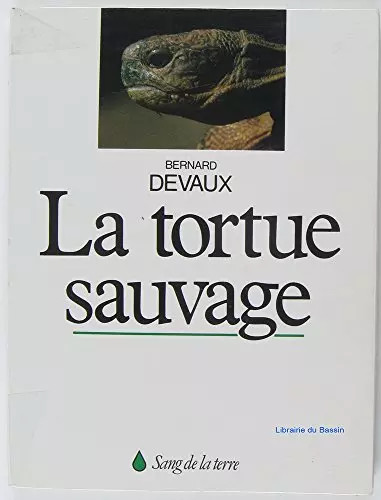 Tortue sauvage des maures - tortue,