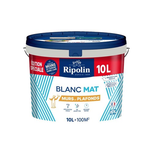 Peinture murs plafonds - peinture,