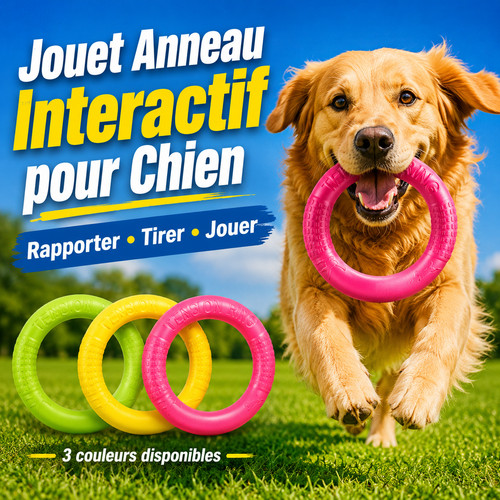 Jouet anneau chien - jouet,