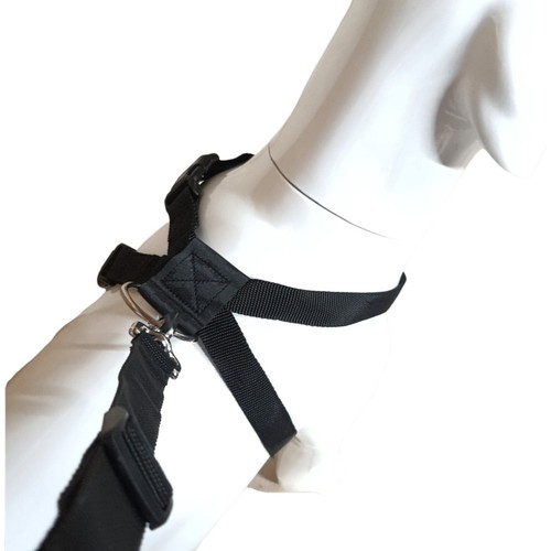 Harnais sécurité taille - sécurité,