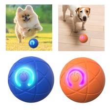 Baule de jouet de chien