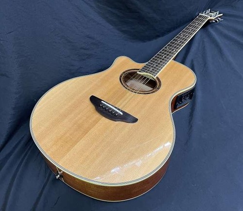 Guitare acoustique électrique