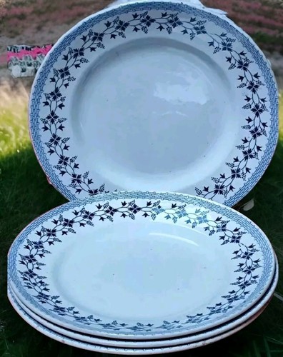 Assiettes plates terre de - assiettes,