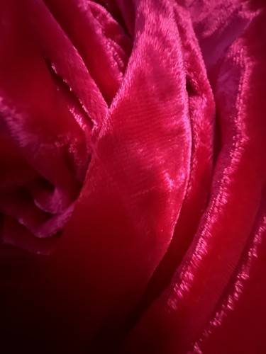 Tissu velours soie - soie, m