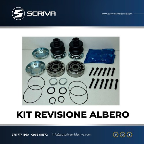Set révision arbre - set,