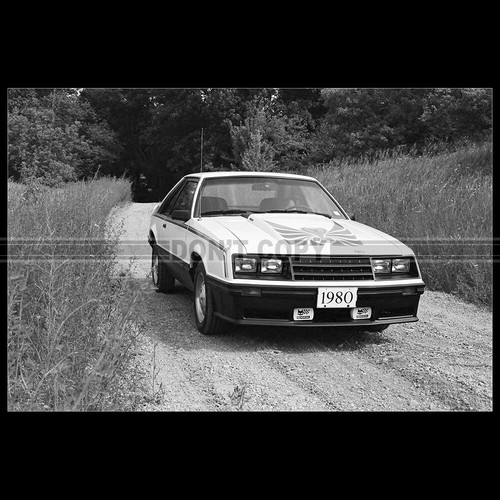 Photo 035405 ford mustang - ford,