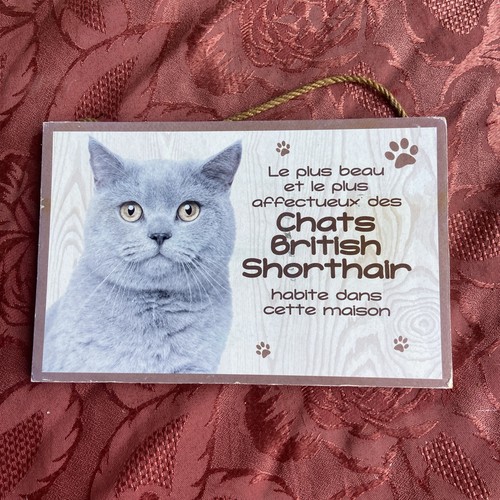 Plaque bois chat british - bois,