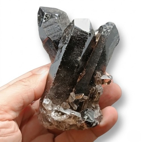 Quartz fumé cristal - quartz, stufe