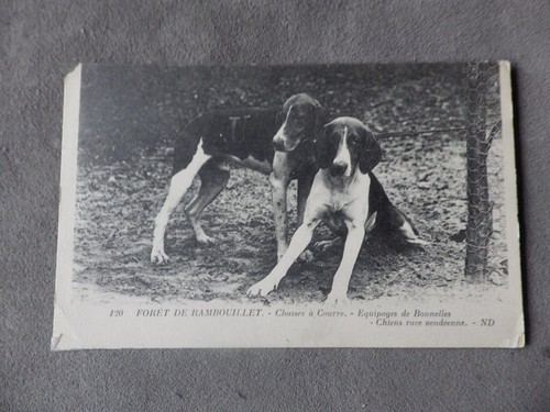 Cpa chasse courre en - cpa,