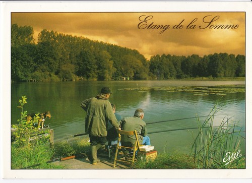 Pêche étang dans - pêche, en