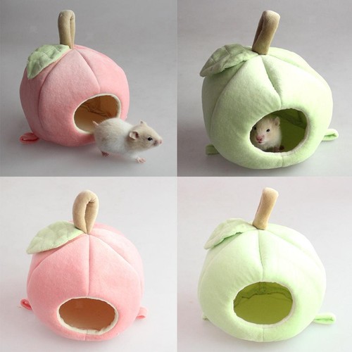 Lit hamster mignon - lit, de