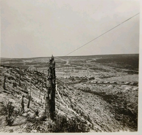D55 verdun batteries sur route - sur,
