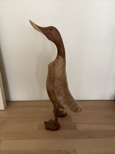 Canard coureur indien - coureur, en