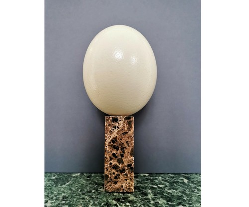 Ostrich egg brown - ostrich, marble