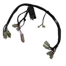 Câble De Faisceau Électrique