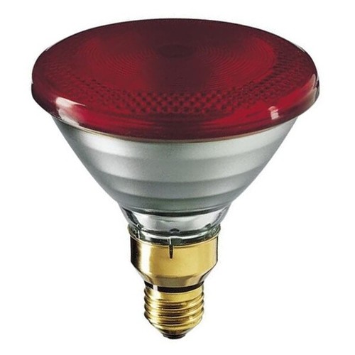 Infraphil 240v 150w par e27 - infraphil,