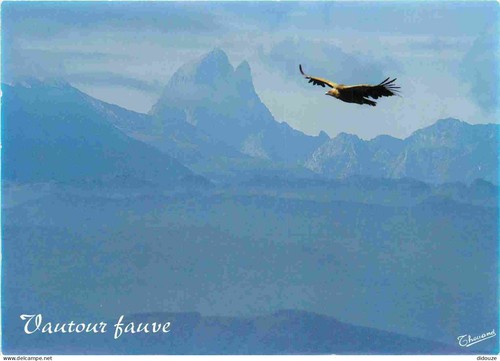 Carte postale animaux - postale,