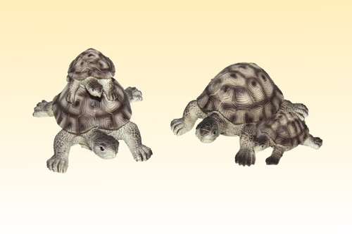 Tortue terre poly - de,