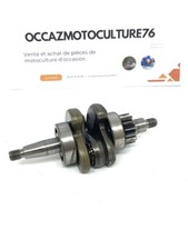 Vilebrequin Taille Haie Sur