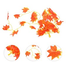  Accessoire Terrarium Décor