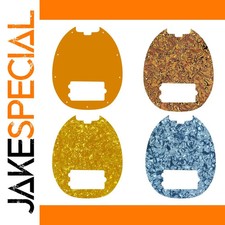 JakeSpecial – US Music Man