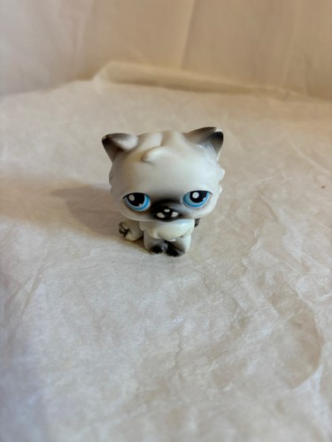 Hasbro 2004 petshop chat - petshop,