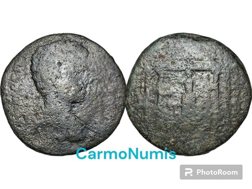 Geta mylasa - mylasa, (carie)