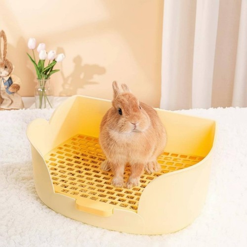 Bac toilette lapin nain bords - nain,