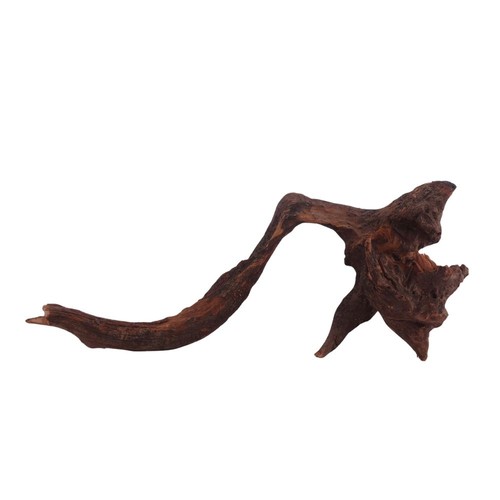 Bois flotté flußwurzel - flotté,