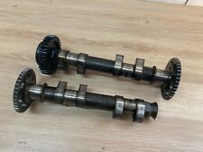 UNE PAIRE D ARBRE A CAMES CAME