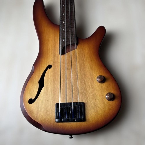 Basse fretless ibanez srh500f - ibanez,