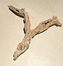 racines araignée cactus cholla mangrove spider root souche bois  aquarium W444